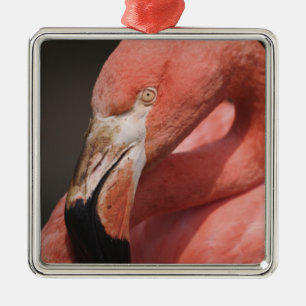 Chilean Flamingo, Phoenicopterus chilensis Metal Tree Decoration