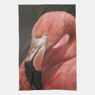 Chilean Flamingo, Phoenicopterus chilensis Tea Towel
