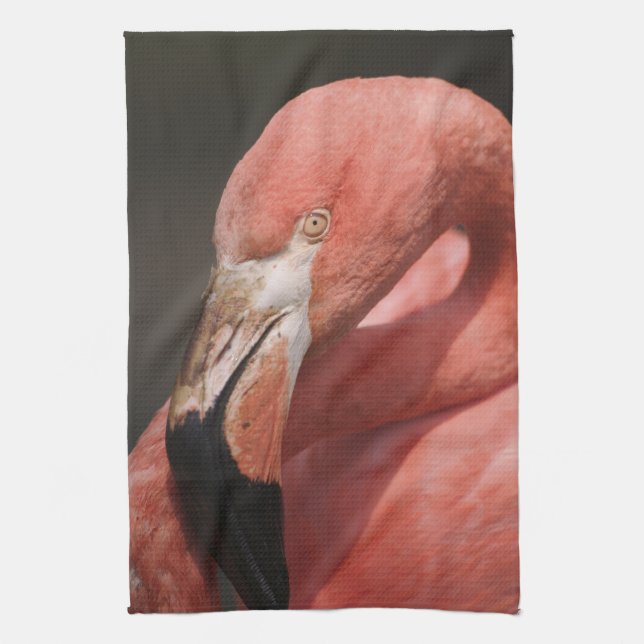 Chilean Flamingo, Phoenicopterus chilensis Tea Towel (Vertical)
