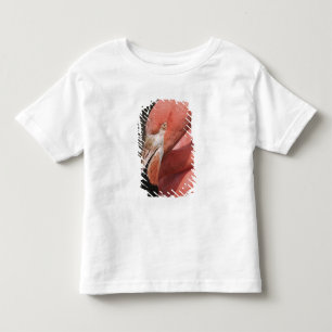 Chilean Flamingo, Phoenicopterus chilensis Toddler T-Shirt