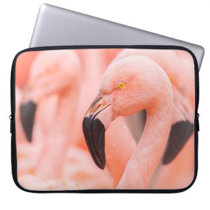Chilean flamingo (Phoenicopterus chilensis), with Laptop Sleeve