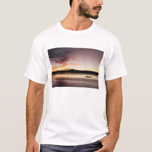 Chilean Flamingo T-Shirt