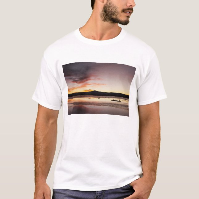 Chilean Flamingo T-Shirt (Front)