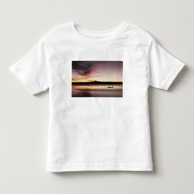 Chilean Flamingo Toddler T-Shirt (Front)