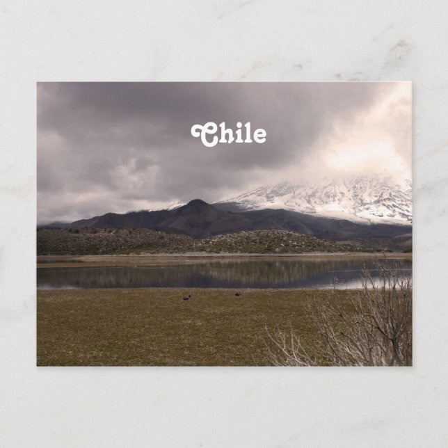 Chilean Mountains Postcard (Front)