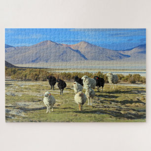 Chilean sheep 1014-pc jigsaw puzzle