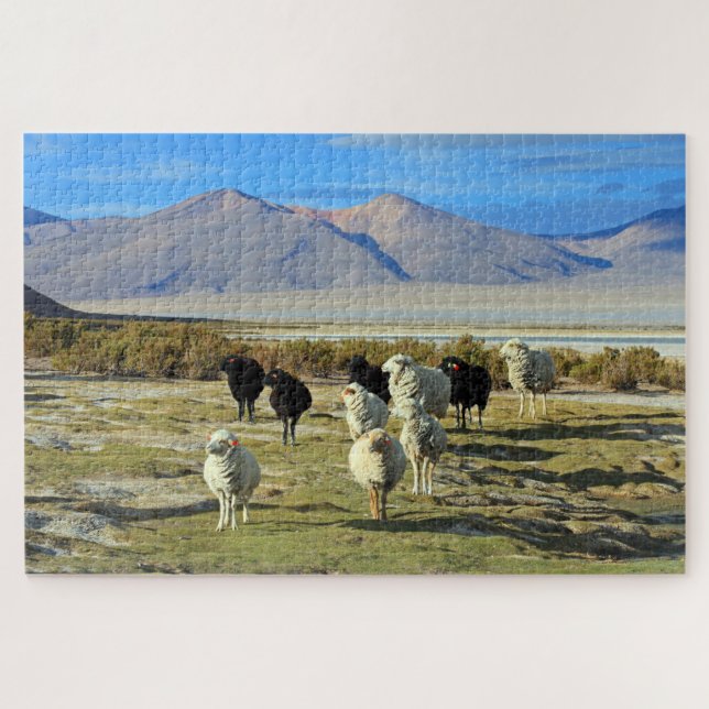 Chilean sheep 1014-pc jigsaw puzzle (Horizontal)
