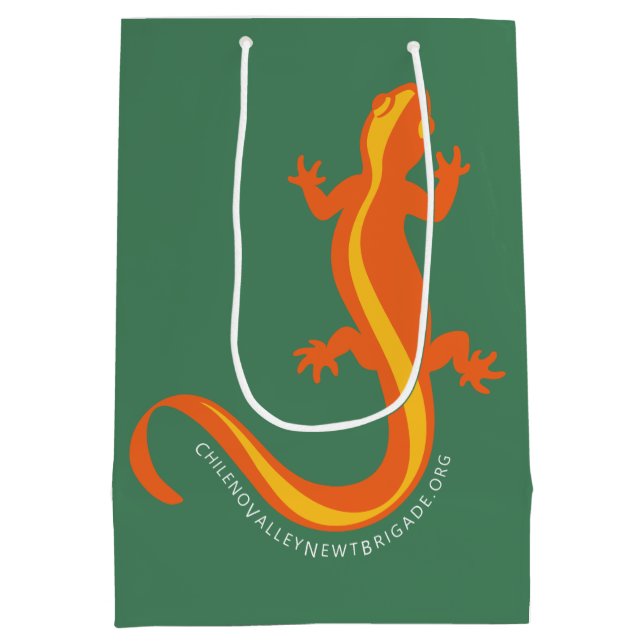Chileno Valley Newt Brigade gift bag - green (Back)