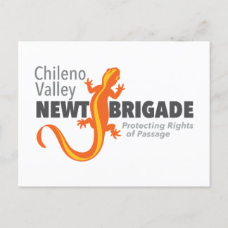 Chileno Valley Newt Brigade  Postcard