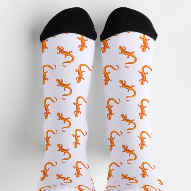 Chileno Valley Newt Brigade  Socks (Top)