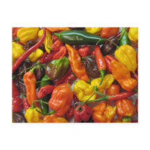 Chilihead card