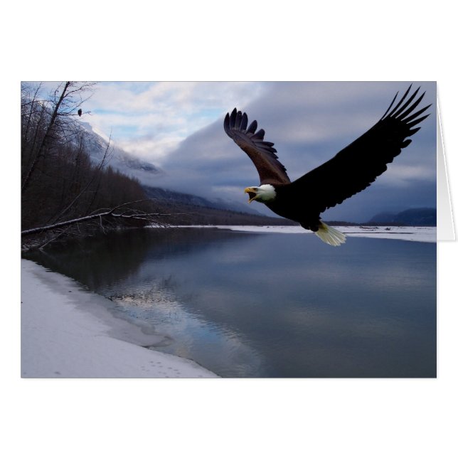 Chilkat Eagle Reserve Card (Front Horizontal)