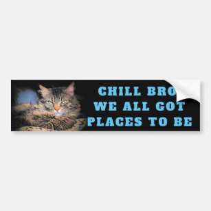 Chill Bro, We All Got Places To Be Cat Meme Bumper Sticker