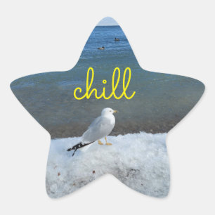 Chill Seagull relax sticker