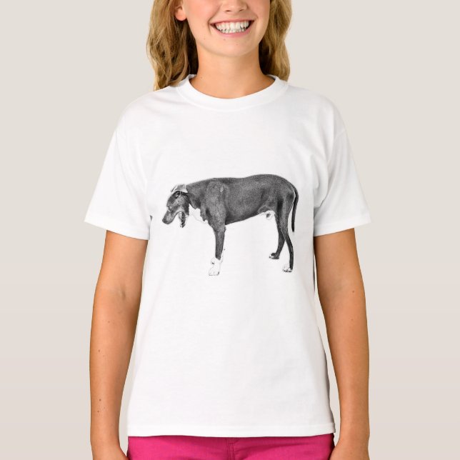 Chill Stride: Bully Mix in Black & White T-Shirt (Front)