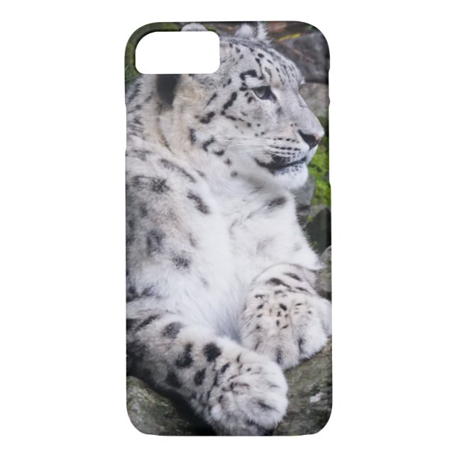 Chilled Out Snow Leopard Case-Mate iPhone Case (Back)