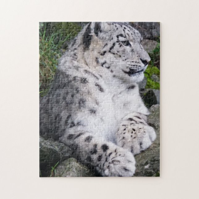 Chilled Out Snow Leopard Jigsaw Puzzle (Vertical)