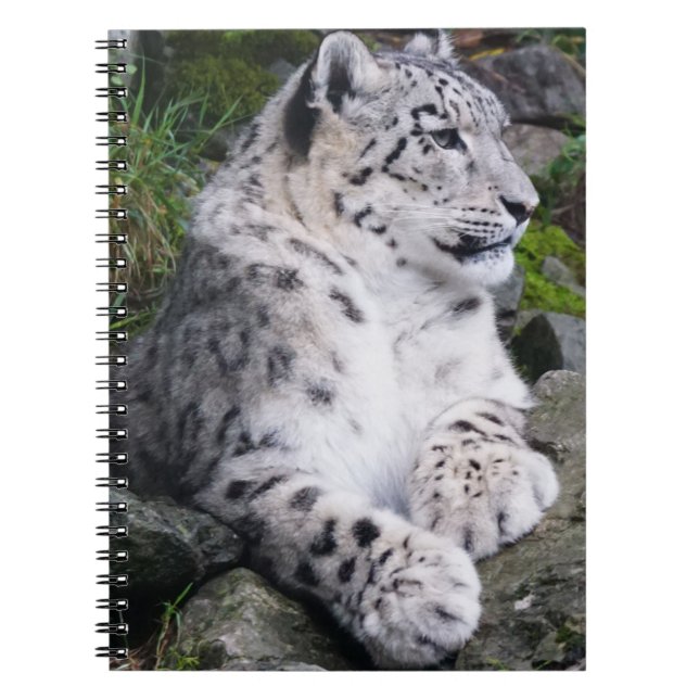 Chilled Out Snow Leopard Notebook (Front)