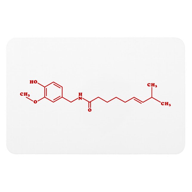 Chilli Capsaicin Molecular Chemical Formula Magnet (Horizontal)