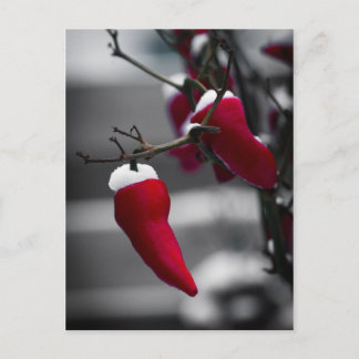 Chilli Christmas Cards