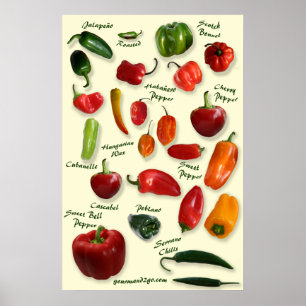 Chilli ID Poster