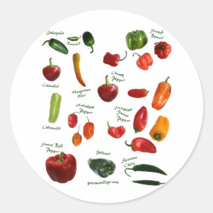 Chilli Pepper ID Classic Round Sticker