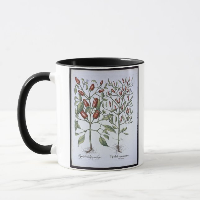 Chilli Pepper plants, from the 'Hortus Eystettensi Mug (Left)