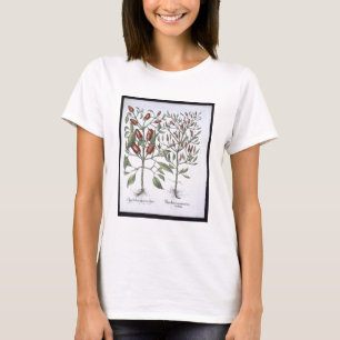 Chilli Pepper plants, from the 'Hortus Eystettensi T-Shirt