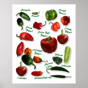 Chilli Pepper Varieties Poster