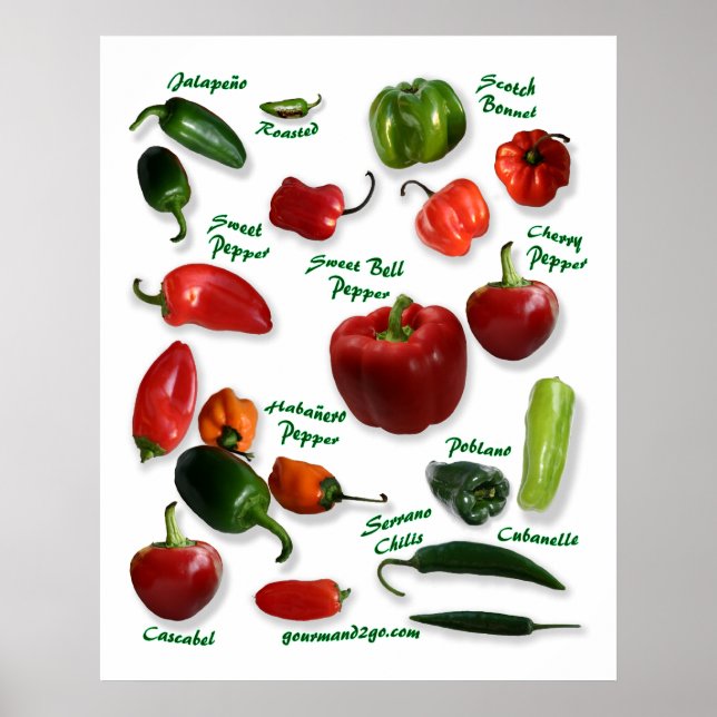 Chilli Pepper Varieties Poster (Front)