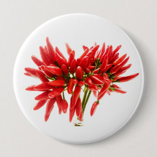 Chilli peppers 10 cm round badge