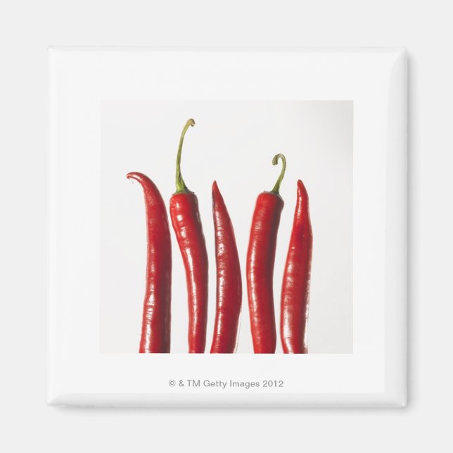 Chilli Peppers in a Row Magnet (Front)