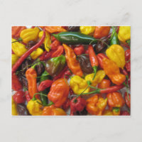Chilli Pile