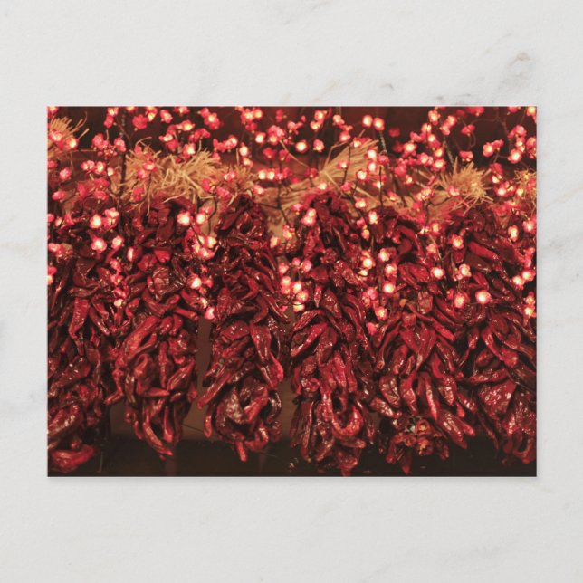 Chilli ristras with holiday lights postcard (Front)