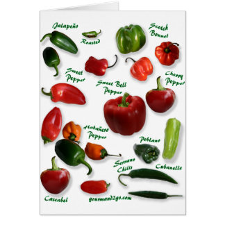 Chilli Varieties