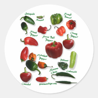 Chilli Varieties Classic Round Sticker