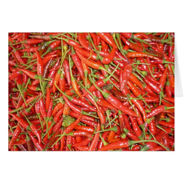 chillies (Front Horizontal)