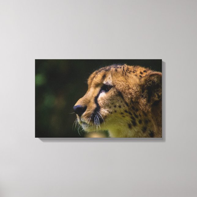 chillin canvas print (Front)