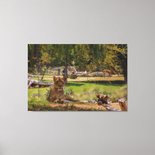 Chillin Canvas Print