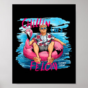 Chillin Like A Felon Summer 2024 Trump Take Americ Poster