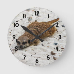 Chillin' Meerkat Clock