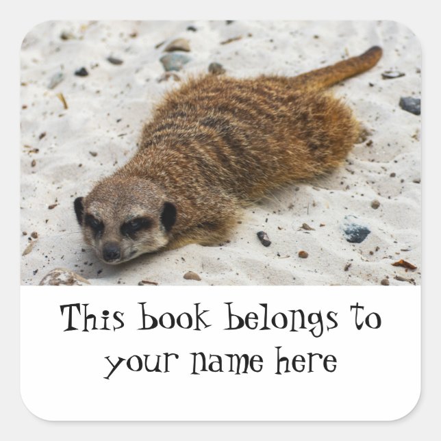Chillin' Meerkat "This book belongs to" sticker (Front)