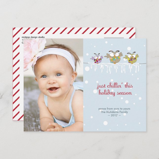 Chillin' Owls Photo Holiday Postcard (Front/Back)