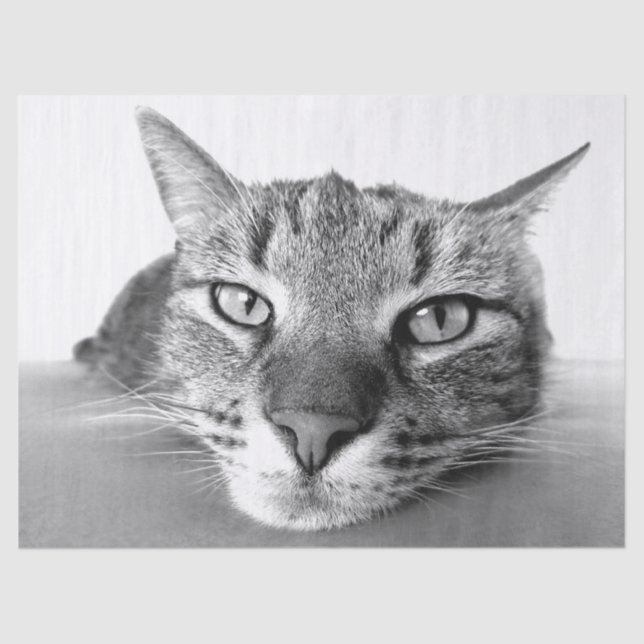 Chilling out tissue paper (Front)