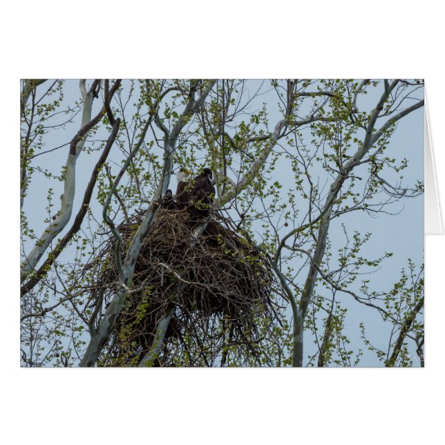 Chilling With Mum (Front Horizontal)