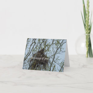 Chilling With Mum Thinking Of You Card