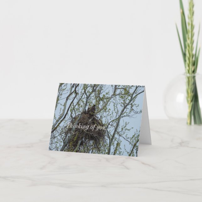 Chilling With Mum Thinking Of You Card (Front)