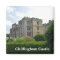 Chillingham Castle Magnet