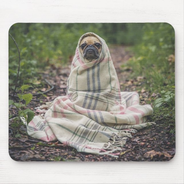 Chilly doggy mouse mat (Front)