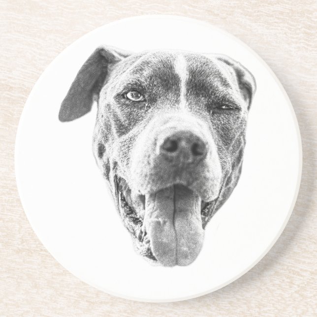 Chilly Dusk Canine Echo Coaster (Front)